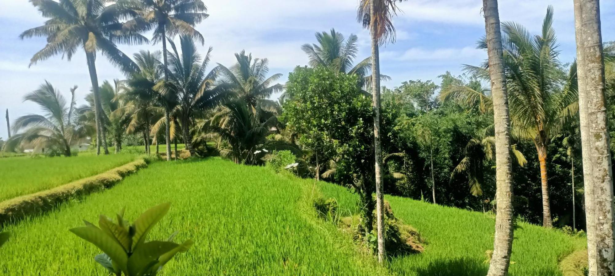 Lingkung Park Tetebatu Apartment Luaran gambar